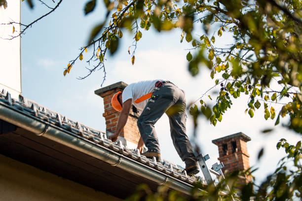 Best Roof Gutter Cleaning  in Cannelton, IN