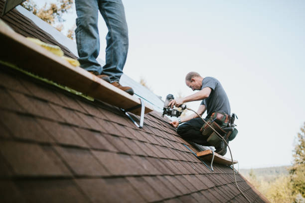 Best Metal Roofing Contractor  in Cannelton, IN